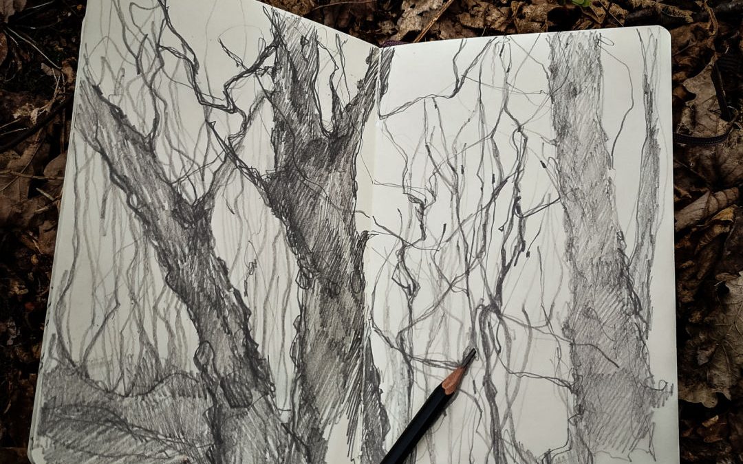 How to Draw Trees with Markers