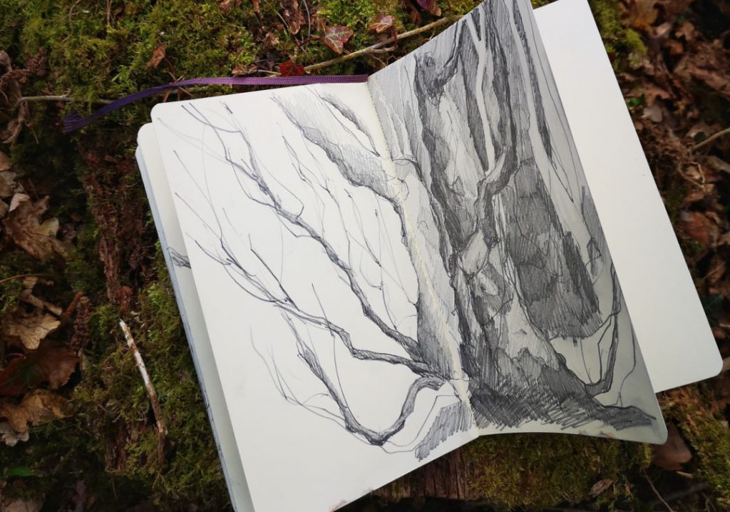 sketchbook page from forest walk #2