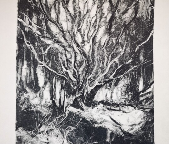 Enchantment I - Monotype on paper, 10 x 8 inches (2021) Available
